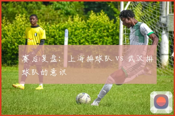 赛后复盘：上海排球队 vs 武汉排球队的意识