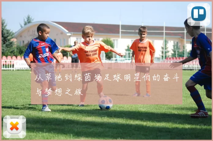 从草地到绿茵场足球明星们的奋斗与梦想之旅