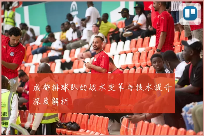 成都排球队的战术变革与技术提升深度解析