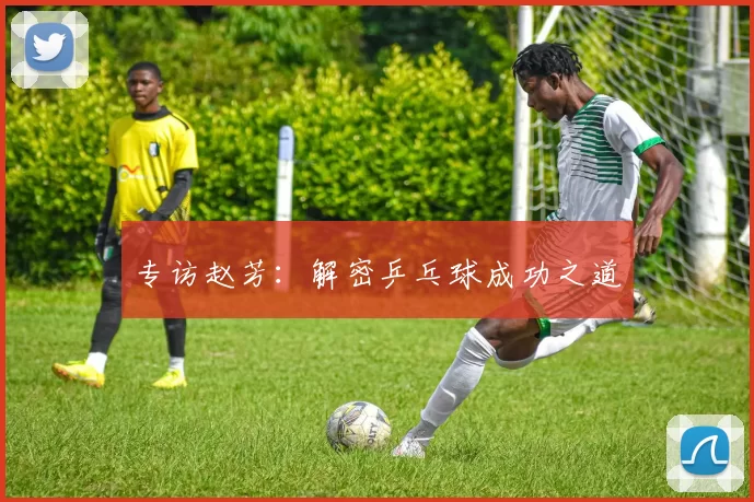 专访赵芳：解密乒乓球成功之道