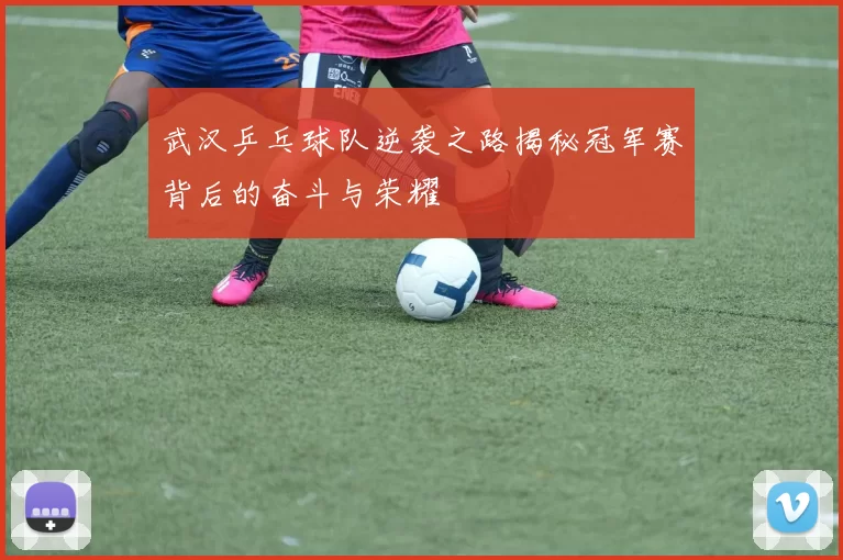 武汉乒乓球队逆袭之路揭秘冠军赛背后的奋斗与荣耀