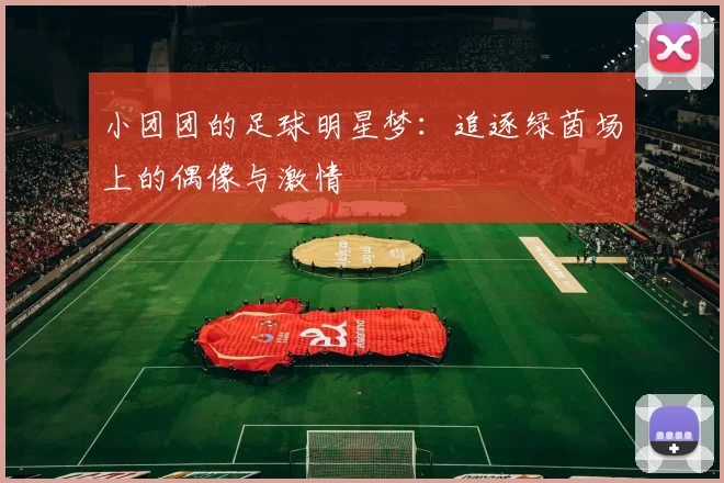 小团团的足球明星梦：追逐绿茵场上的偶像与激情